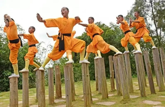 ARTS MARTIAUX CHINOIS