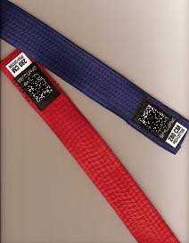 Lot 2 Ceintures Compétition